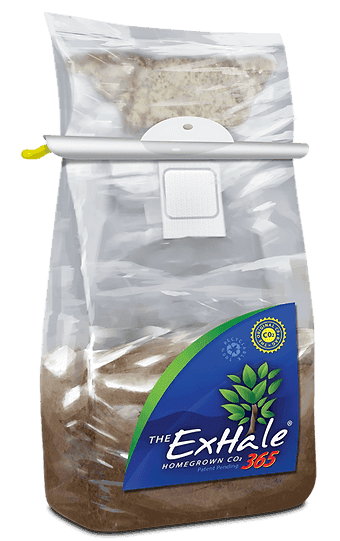 Exhale 365 - Self Activated CO2 bags