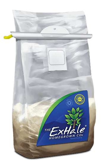 ExHale Co2 Bag