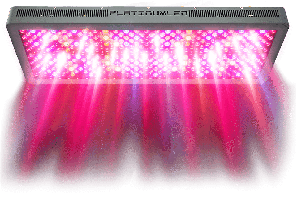 Grow Lights