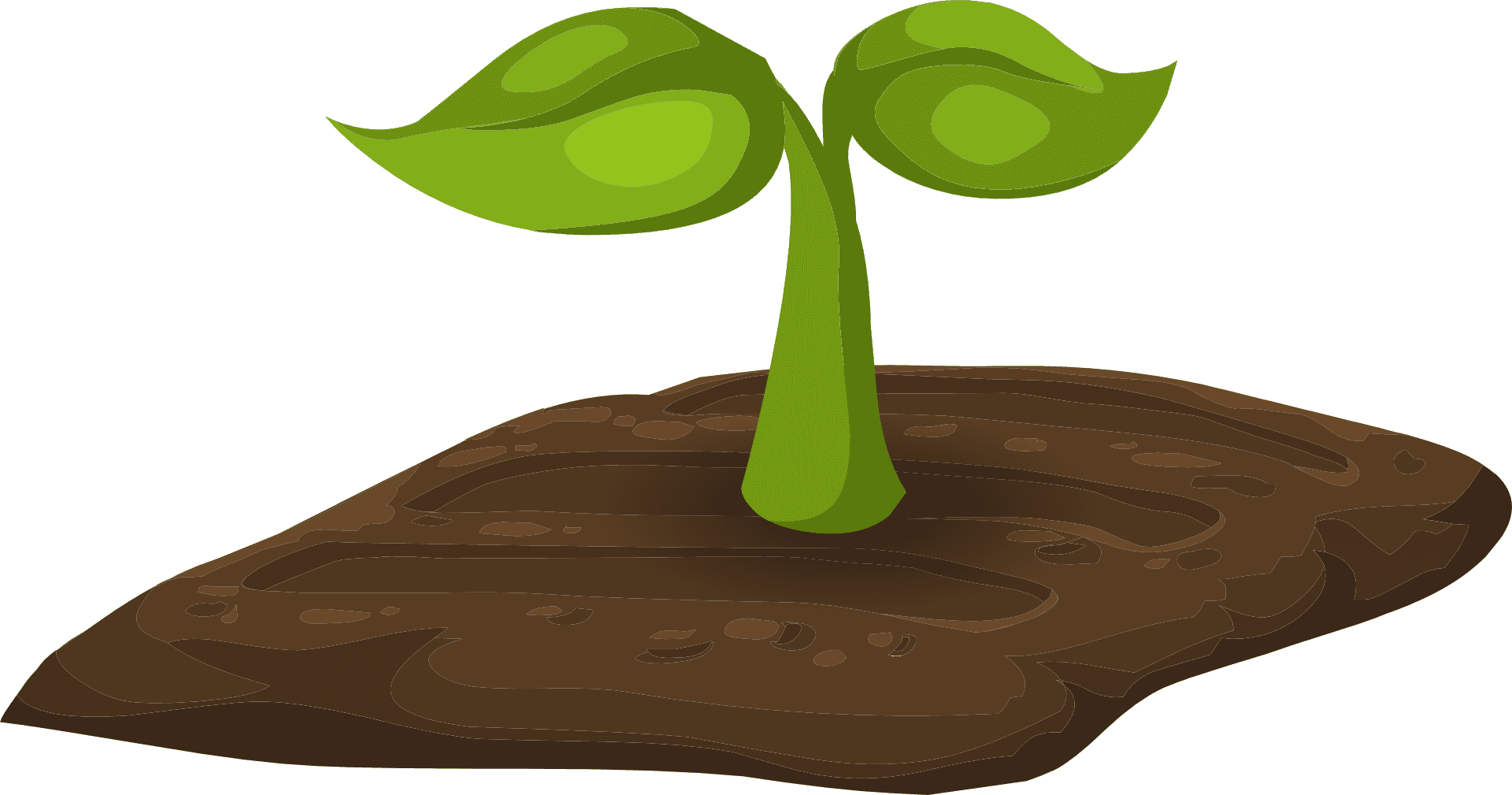 Soil Enhancers