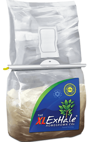 XL ExHale Co2 Bag